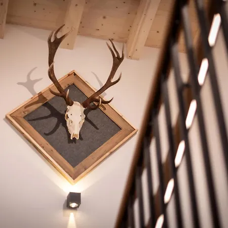 Boderhof Apartment Tux