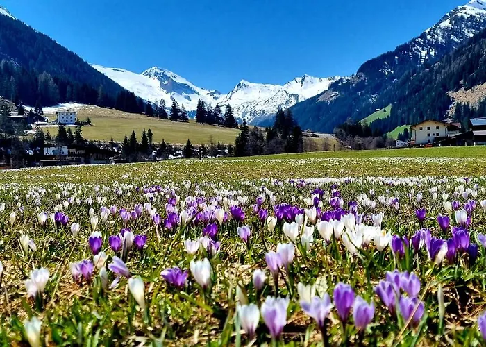 Appartement Boderhof